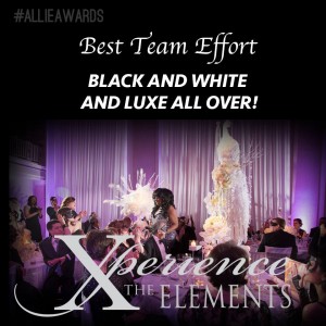 Allie-Award-Best-Team-Effort-2016-300x300